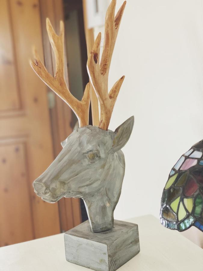Domaine Steinbach Cidrerie Distillerie Bed & Breakfast